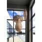 wood-pendant-hinaki-light-shade-david-trubridge-cration-at-moaroom-new-zealand-design-compagny-based-in-france-belgium-luxembour