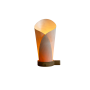 CORAL LAMP - DAVID TRUBRIDGE